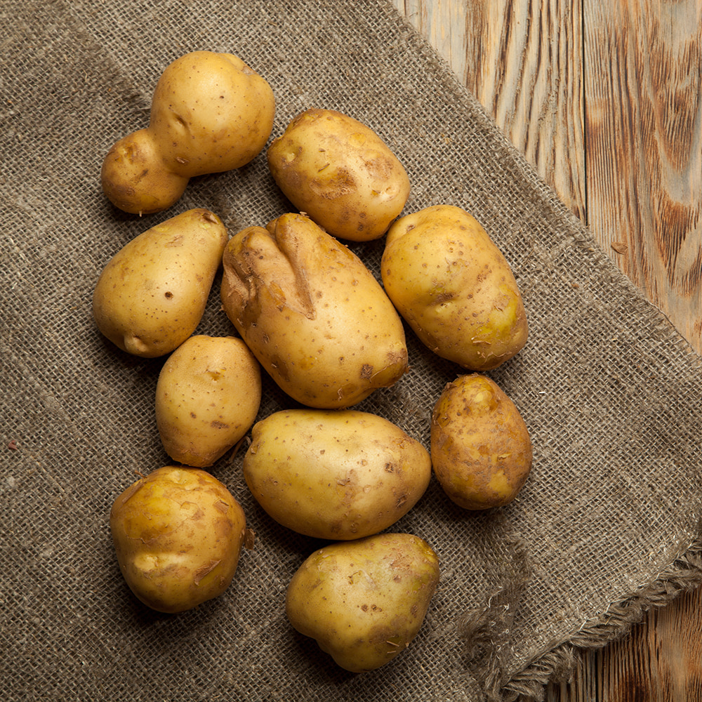 무농약 찜용 감자 1kg (8개 내외)